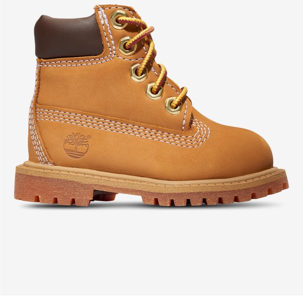 Timberland Waterproof 6" Boots for toddler boy size 8